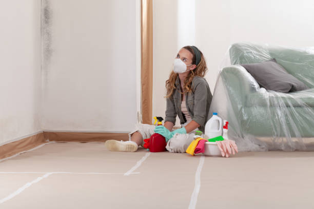 Reliable Commercial Mold Remediation contractor in Benson, AZ by WQB Mold Removal